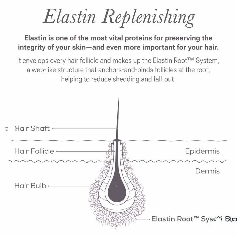 Nulastin LASH Follicle Fortifying Serum NEW - Picture 11 of 13